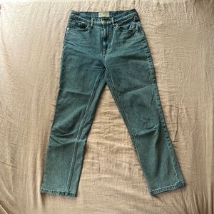 Everlane Original Cheeky Jean